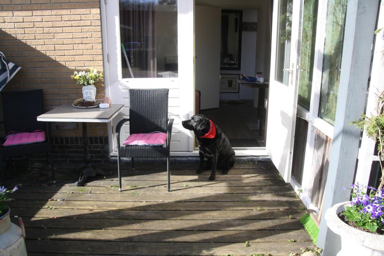 Bed & Breakfast Klokgaaf De Koog  Exterior photo